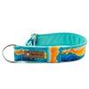 Obojek polostahovací Martingale "Spring"