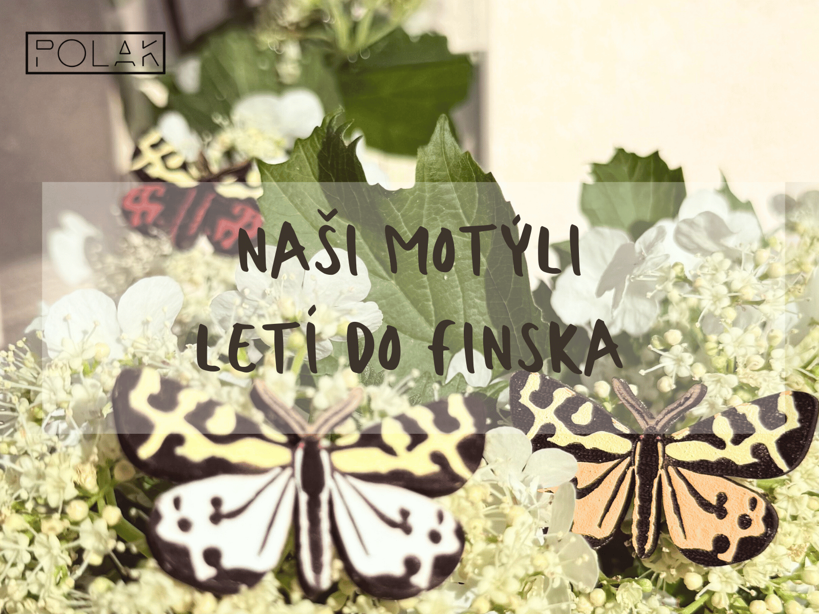 Letíme do Finska! 🦋 A máme novou limitku.