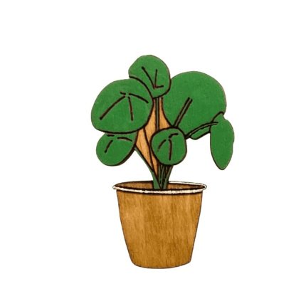 Brož Pilea