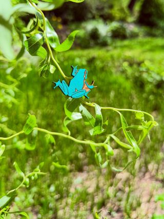 🐸🐸 #polak #woodenbrooch #vyrobenorucne #lokalnitvorba #vyrobenovcesku