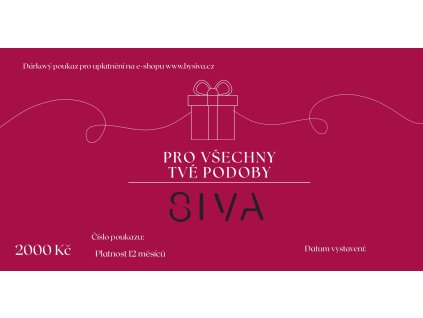 Minimalist Christmas Voucher Gift Certificate 1