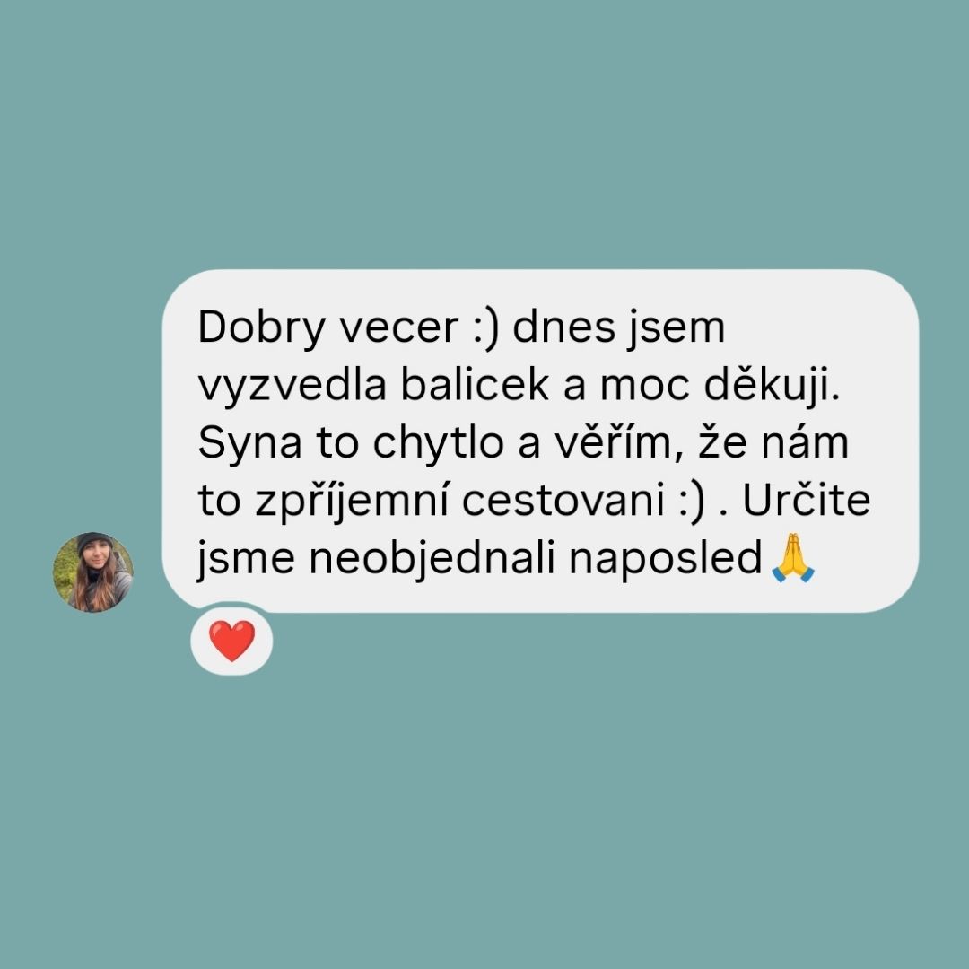 Recenze Bystrá hlavička 31
