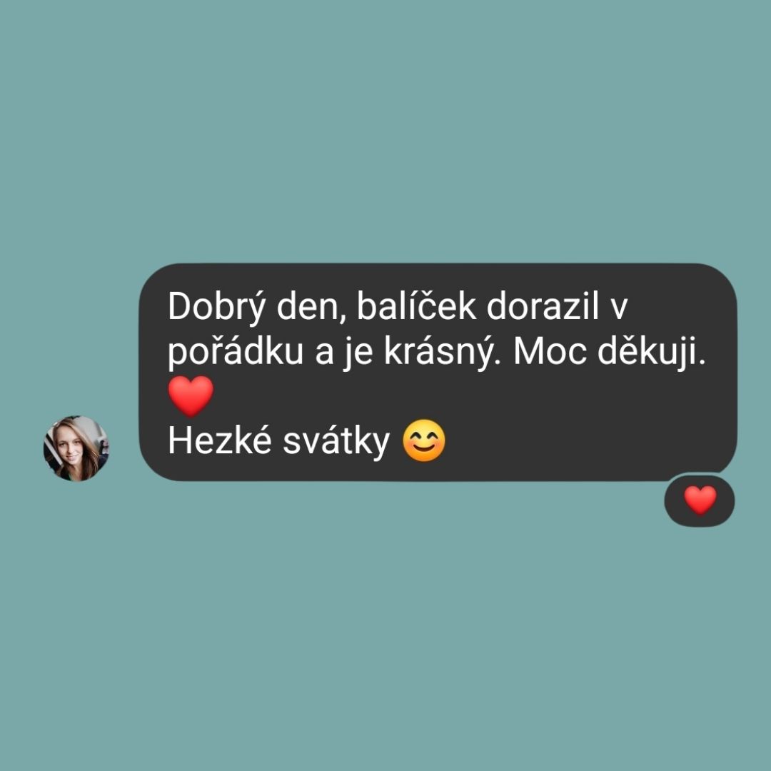 Recenze Bystrá hlavička 8