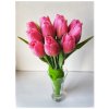 Tulipán tmavě růžový