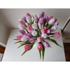 Tulipán růžovo-fialový
