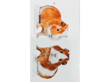 13aa3b90 5d6b 4bd5 af37 5fd91f9084cf