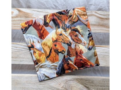 koně 23x24