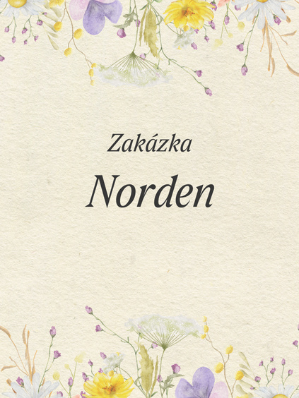 ZAKÁZKA - Norden