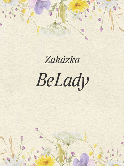 ZAKÁZKA - BeLady
