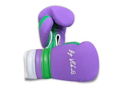 Boxerské rukavice Byvlko “FIRST” JOKER