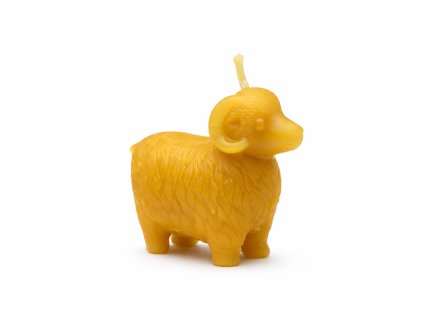 Svicka beranek samostatny