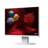 EIZO EV2450 wt