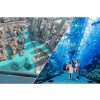 DUBAI AQUARIUM 4