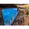 DUBAI AQUARIUM