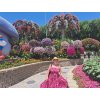 MIRACLE GARDEN 3