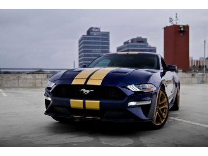 Ford Mustang GT 5.0 337KW