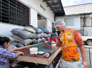 Ako sa spracováva kakao?