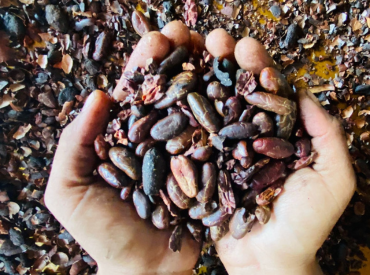 Peru, krajina kde sa zrodil kakaový svet