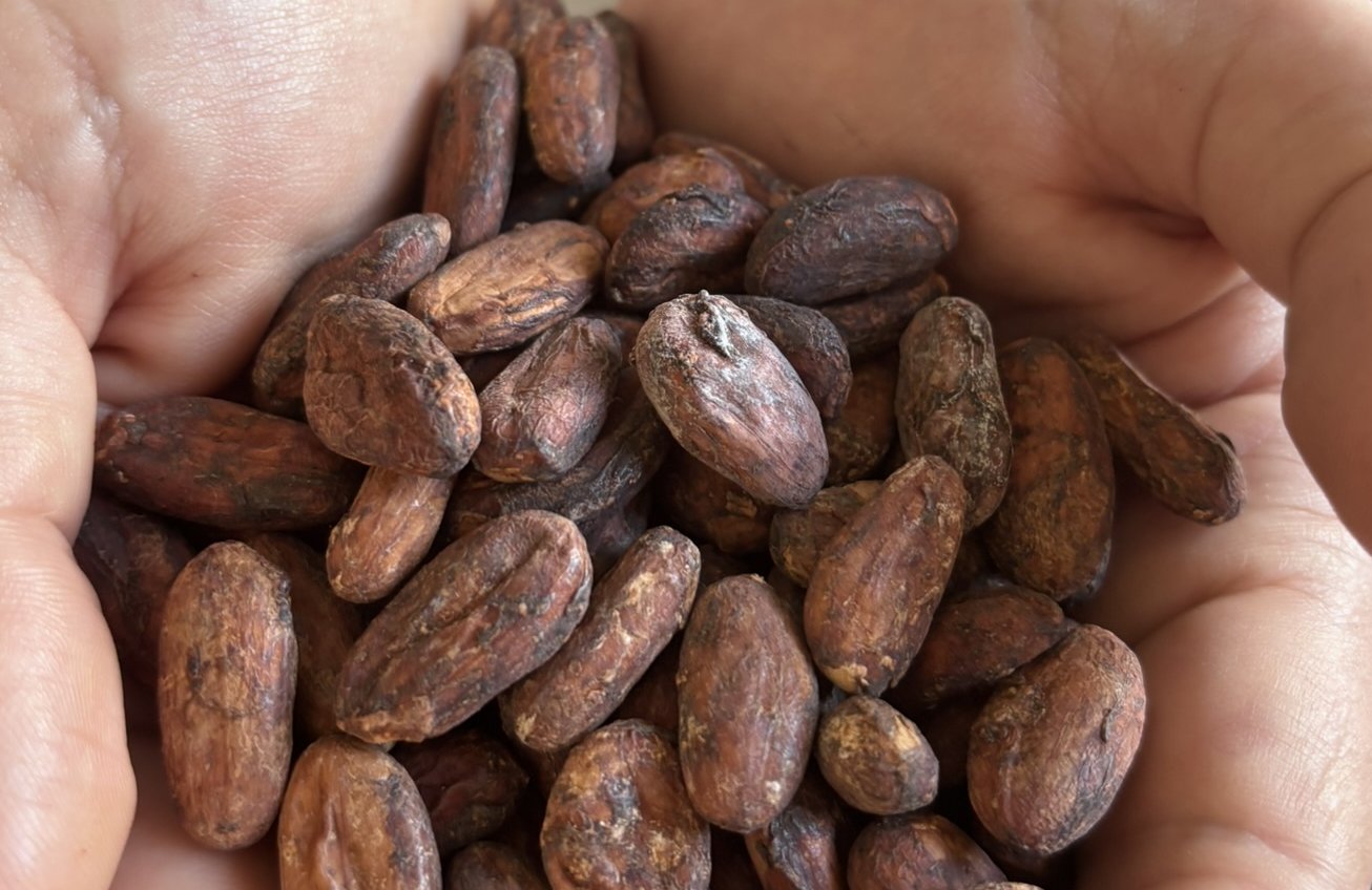 Peru, a kakaó világának születésének országa