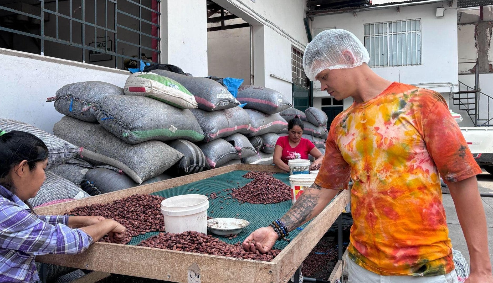 Jak se zpracovává kakao?