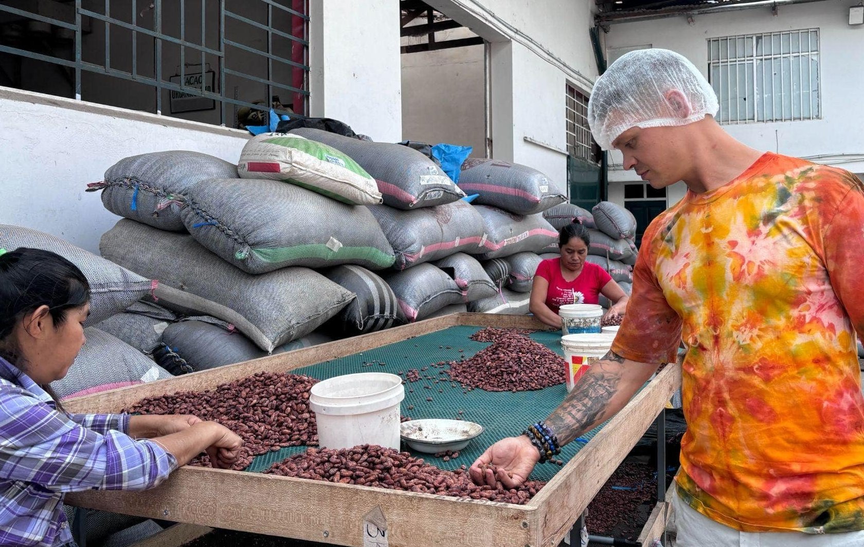 A kakaó feldolgozása – lépésről lépésre