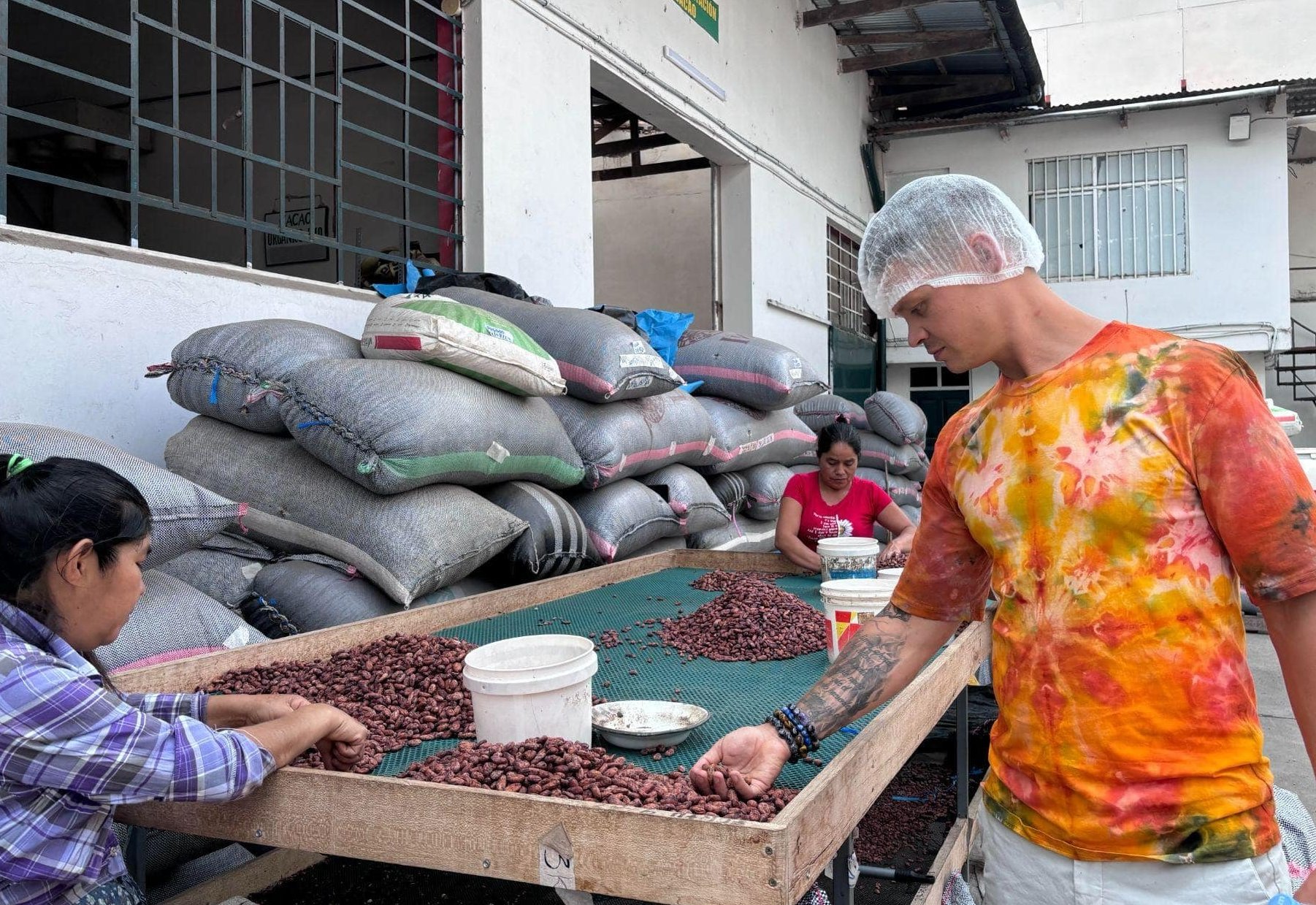 How is cacao processed?