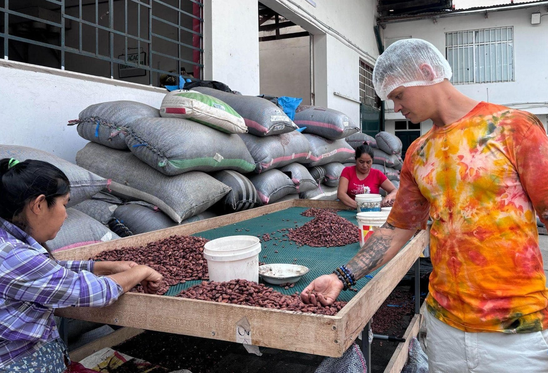 How is cacao processed?