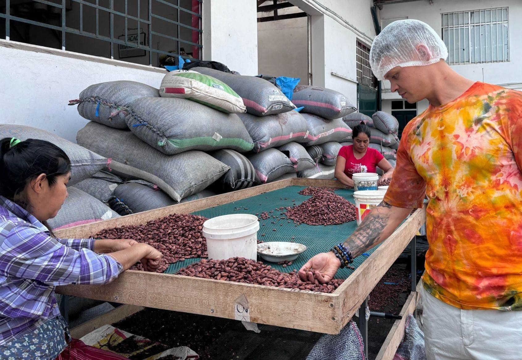 How is cacao processed?