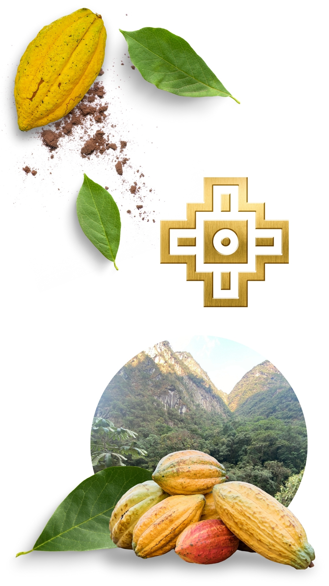 Conexion produkty kakaa