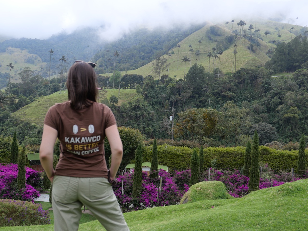 Cocoa adventure in Colombia: You want to taste this!