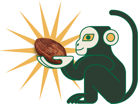 WE SPECIALIZE IN PREMIUM QUALITY VARIETIES OF COCOA 