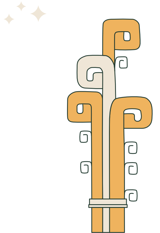 What makes our cocoa special?