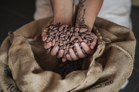 Proč ceny kakaa po celém světě rostou?