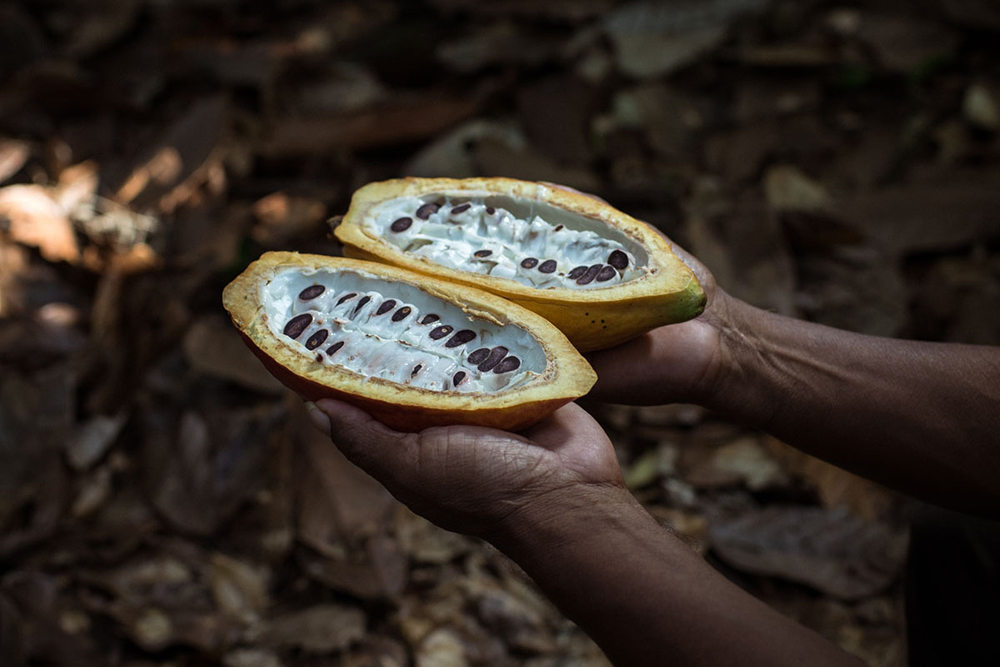 cacayo_BIO_blog1