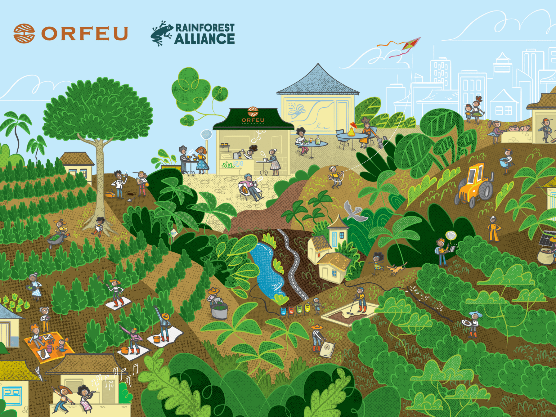 Rainforest Alliance a káva Orfeu: Co se skutečně skrývá za zelenou žábkou
