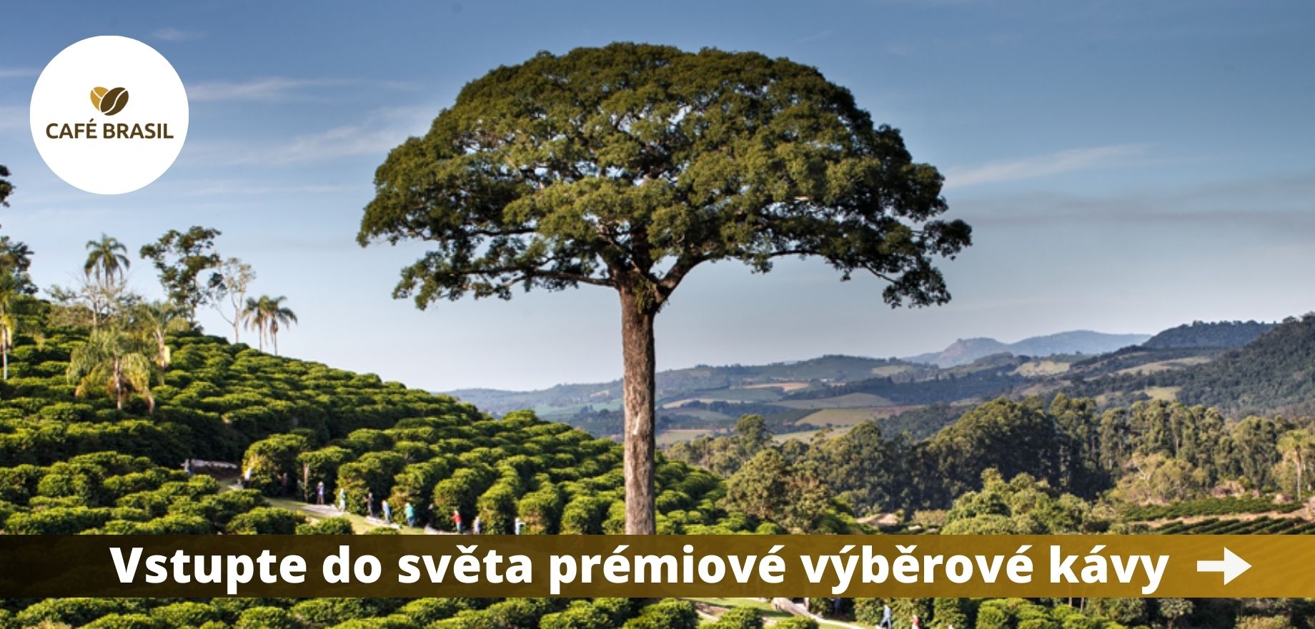 Vstupte do světa prémiové výběrové kávy