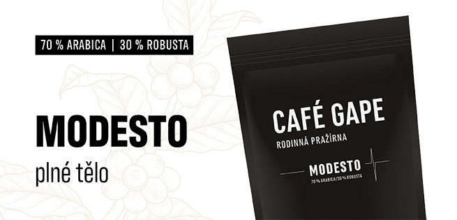 banner modesto