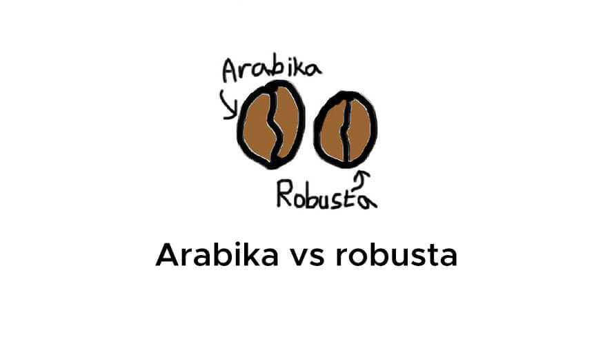 Arabica versus robusta: Rozdíly v chuti, kyselosti a množství kofeinu