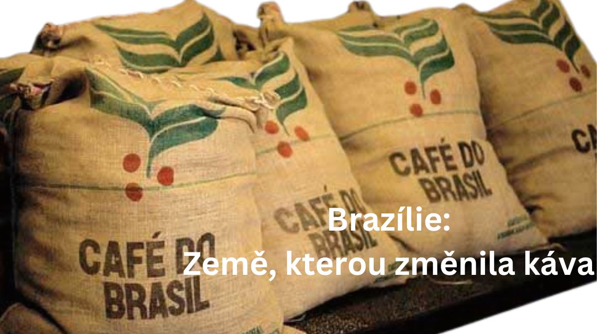 Brazílie: Země, kterou změnila káva. Znáte druhy brazilské kávy?