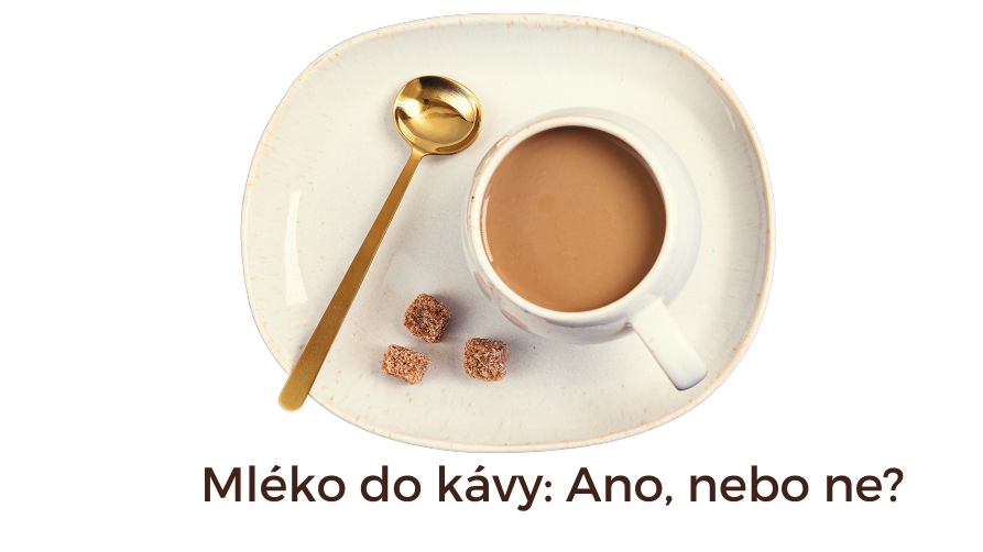 Mléko do kávy: Proč ano, proč ne? Výhody převažují