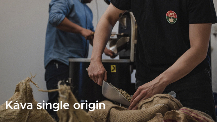 Káva single origin: Země, kde pěstují tu nejlepší