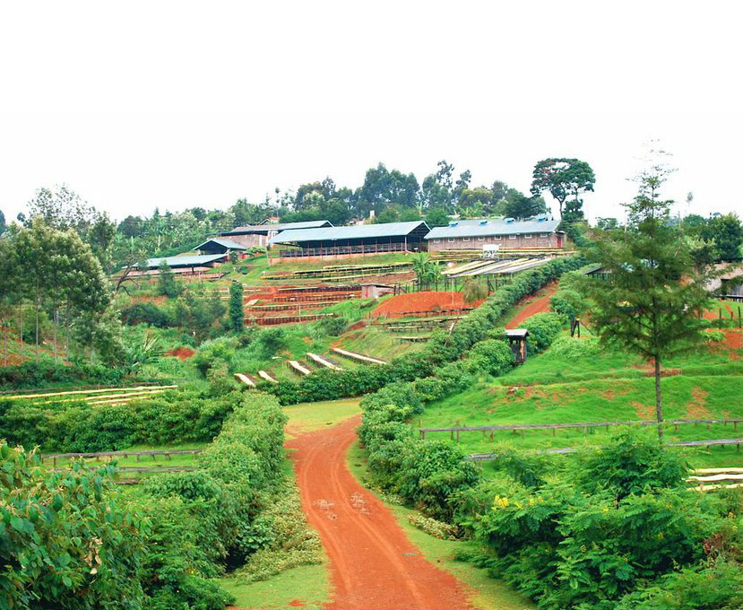 farma