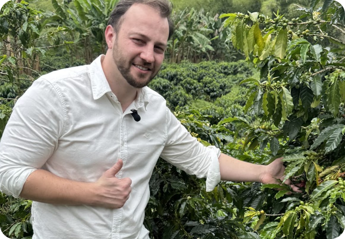 Výběr kávy přímo na plantáži