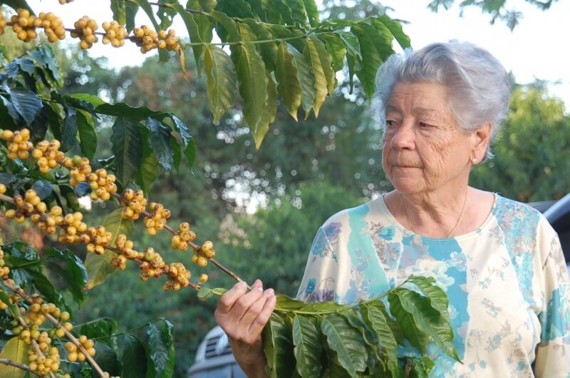 Montaña Café Calmiño, zrnková káva Velikost balení: 500g