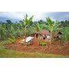 Los Decafos farma 02