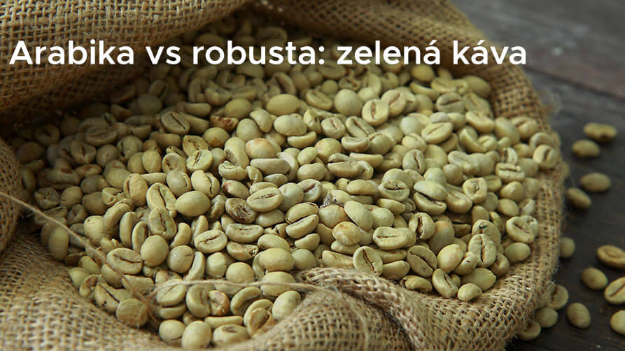 Arabika vs robusta: zelená káva