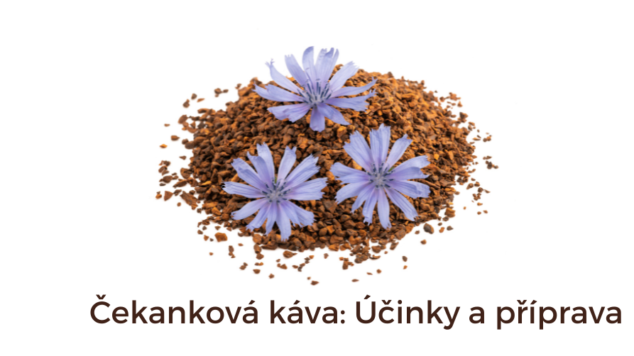 Čekanková káva: Kolik má kofeinu, jak chutná a jak ji připravit?