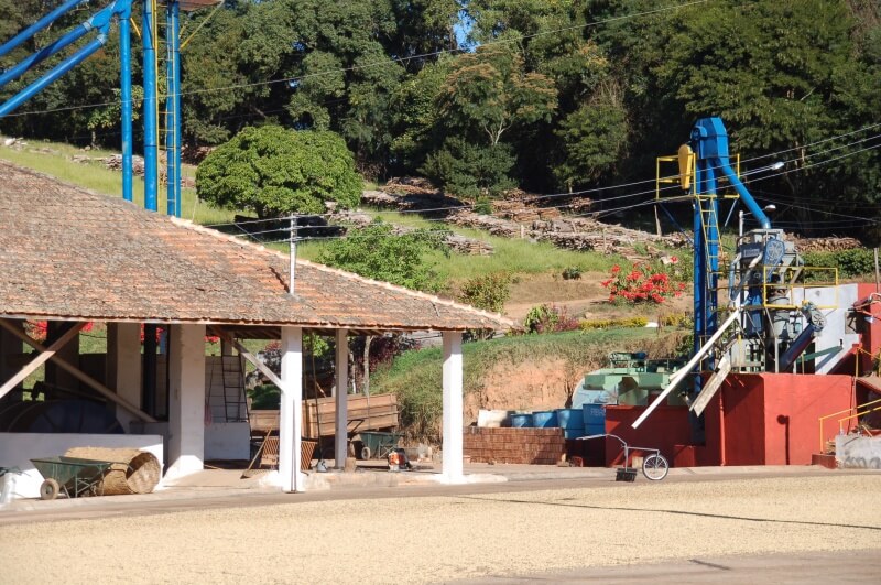 Káva z brazilské farmy Fazenda Sertao - zpracování metodou honey