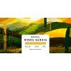 minas gerais