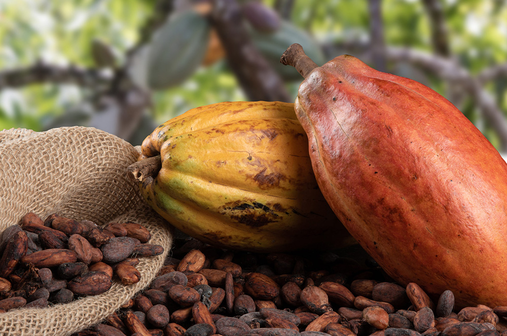 ttc-topics-photo-002